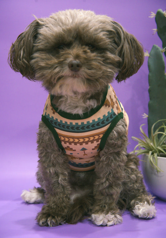 Small dog wearing a southwestern patterned shirt