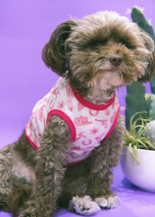 Small dog wearing a pink cowboy dog shirt
