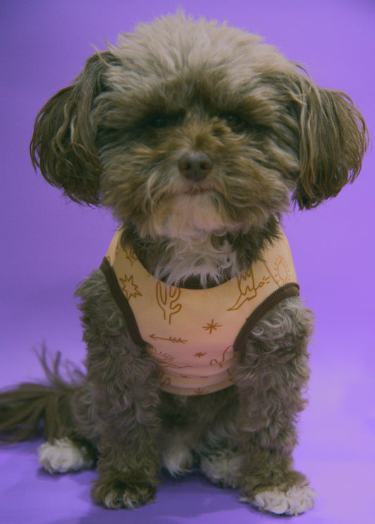 Dog wearing a western themed shirt with cactus and cowboy boots design