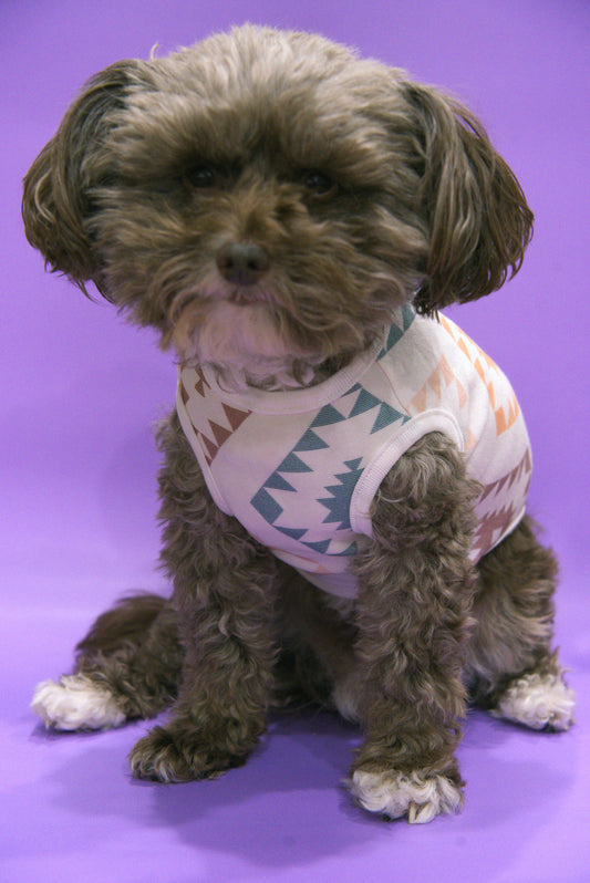 Small dog wearing a southwestern themed shirt