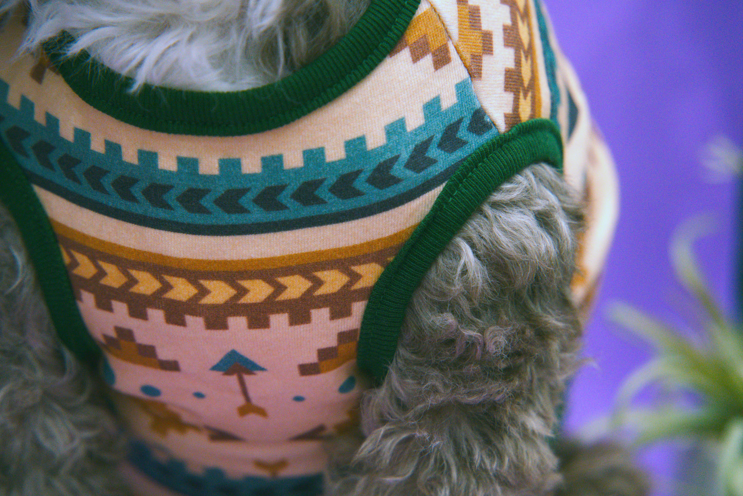 Dog wearing a colorful southwestern patterned shirt