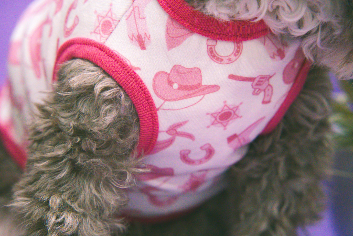 Dog wearing a pink cowboy shirt