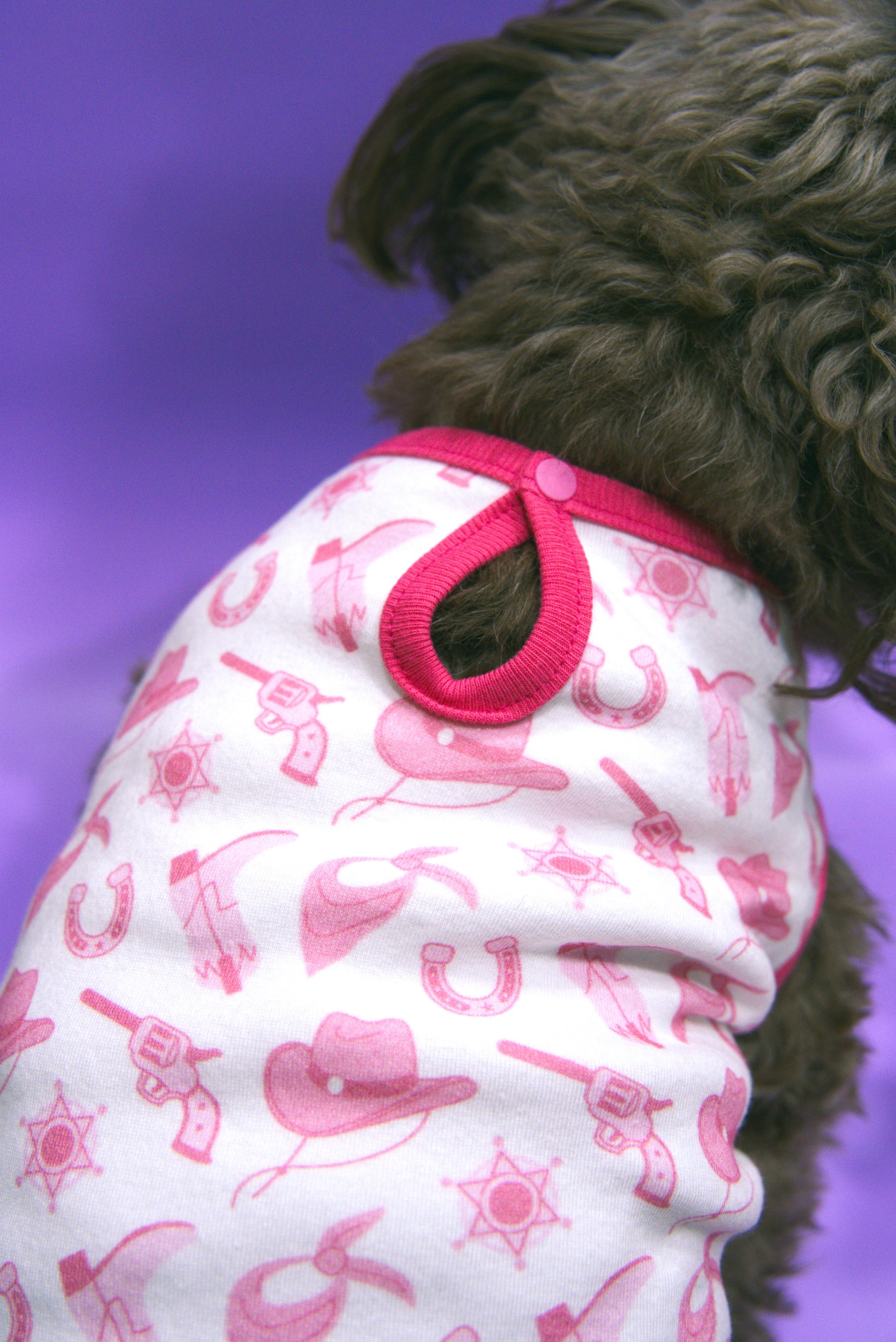 Dog wearing a pink and white cowboy shirt