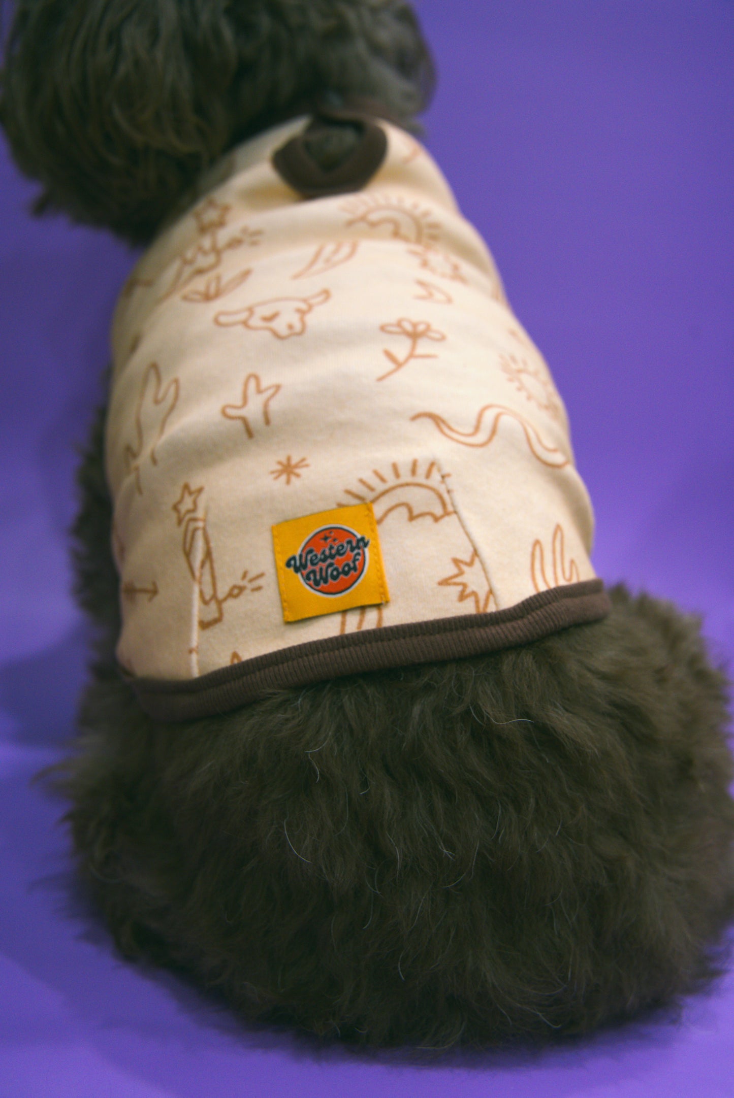 Small dog wearing a western patterned shirt