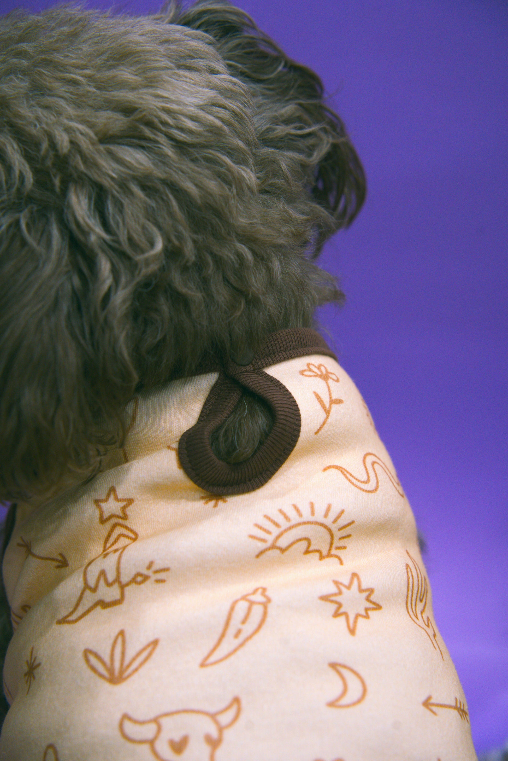 Close-up of a dog wearing a western patterned shirt