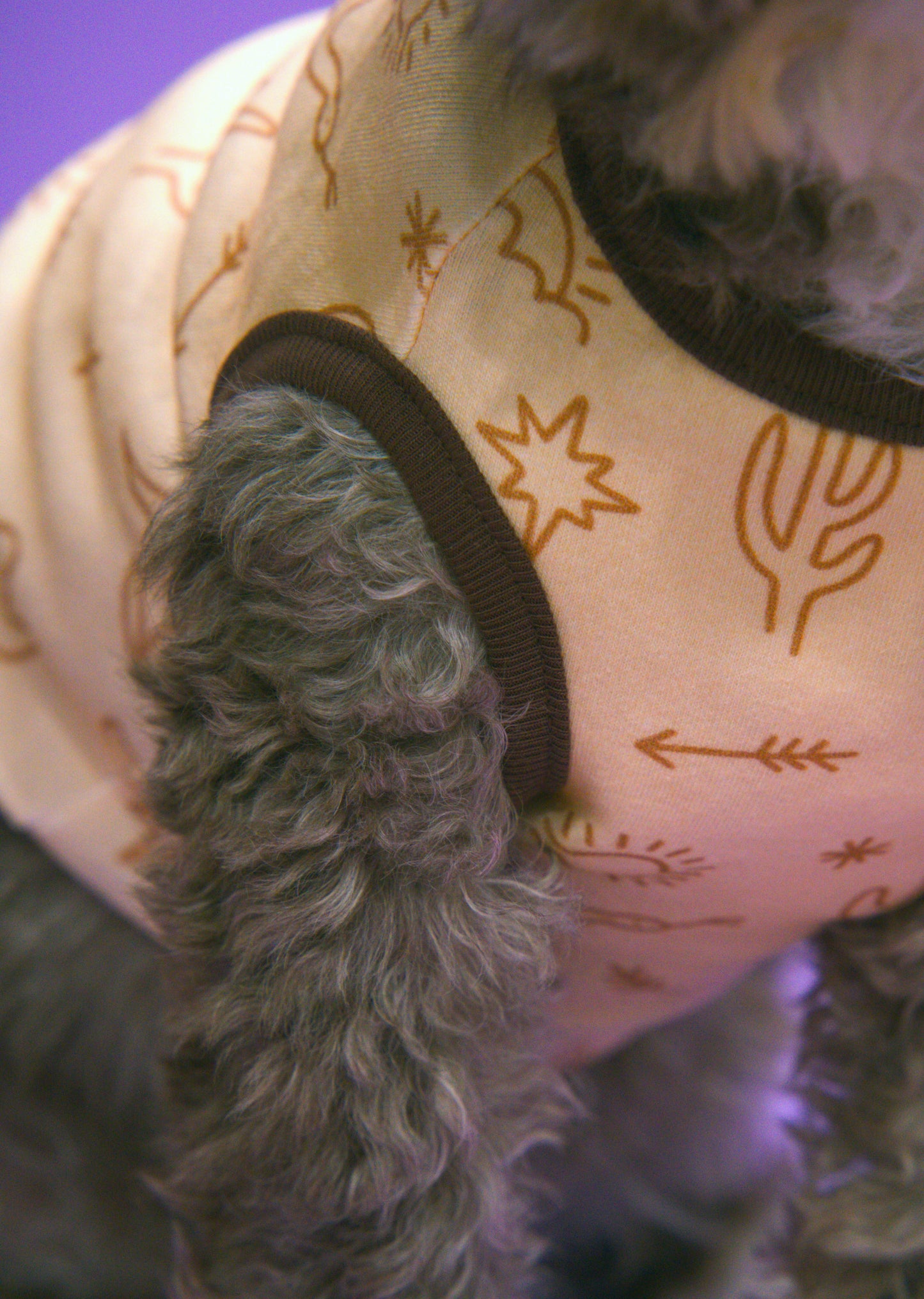 Close-up of a dog wearing a western themed dog shirt 