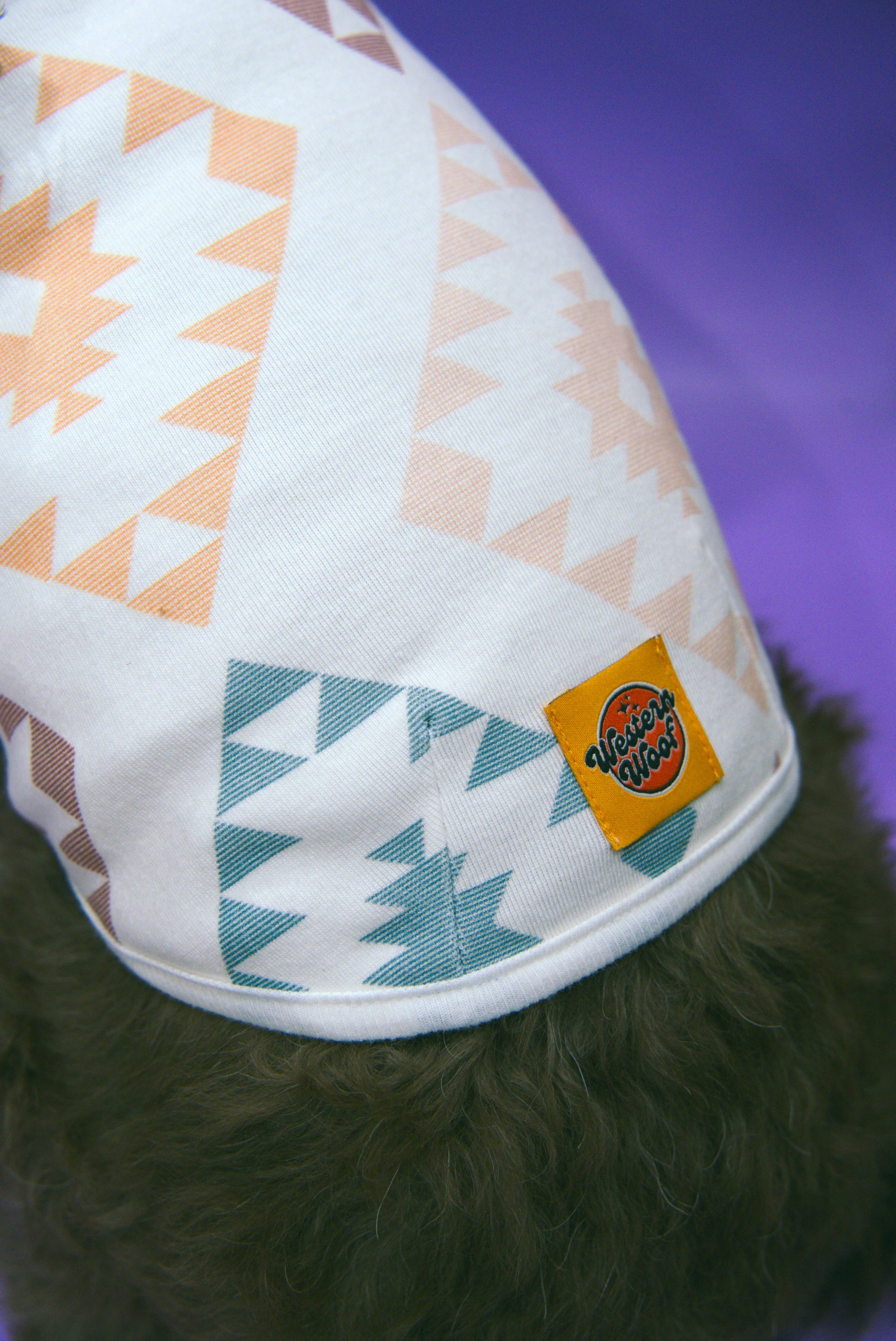 close up of a geometric southwestern pattern dog shirt