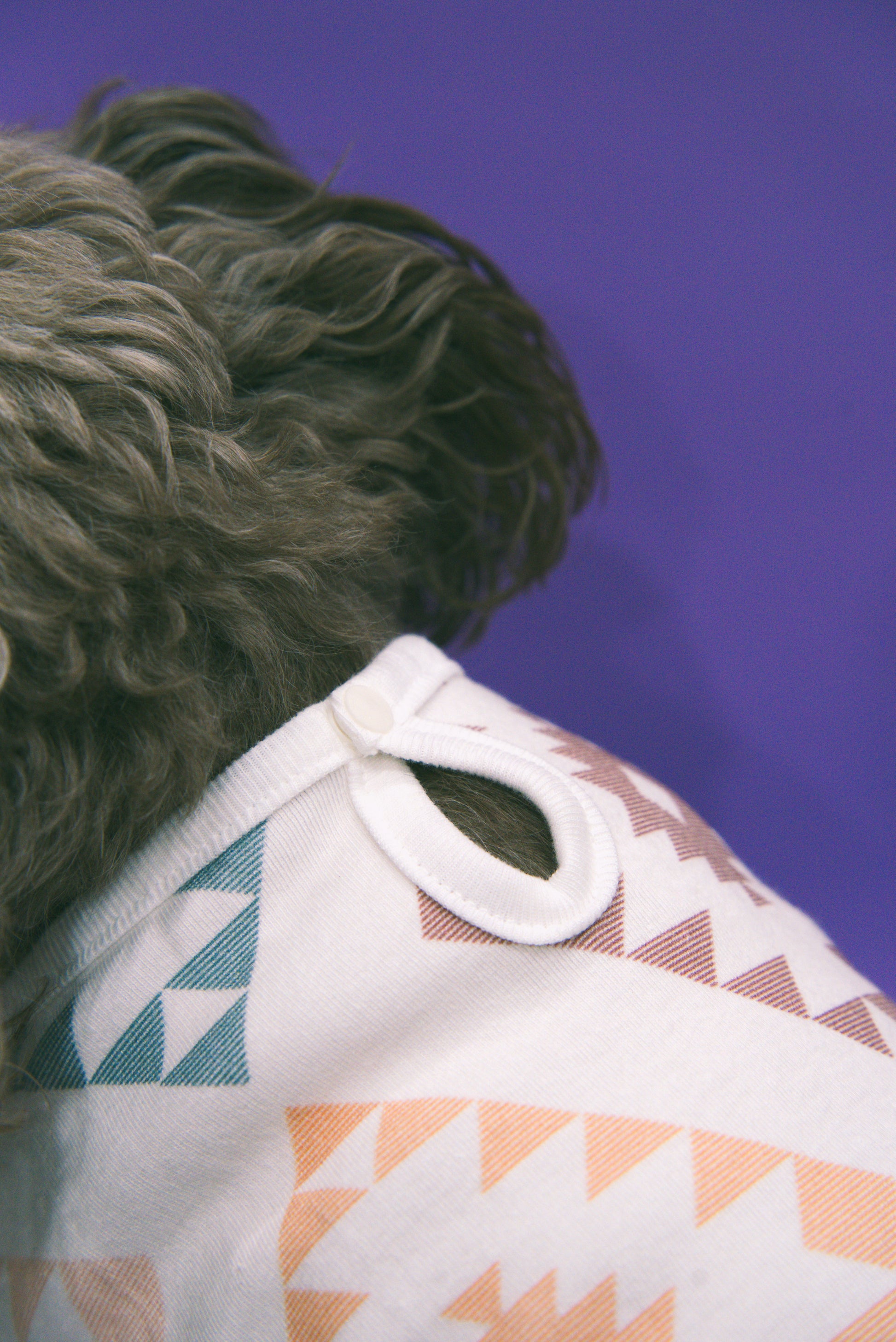 Dog wearing a southwestern themed shirt